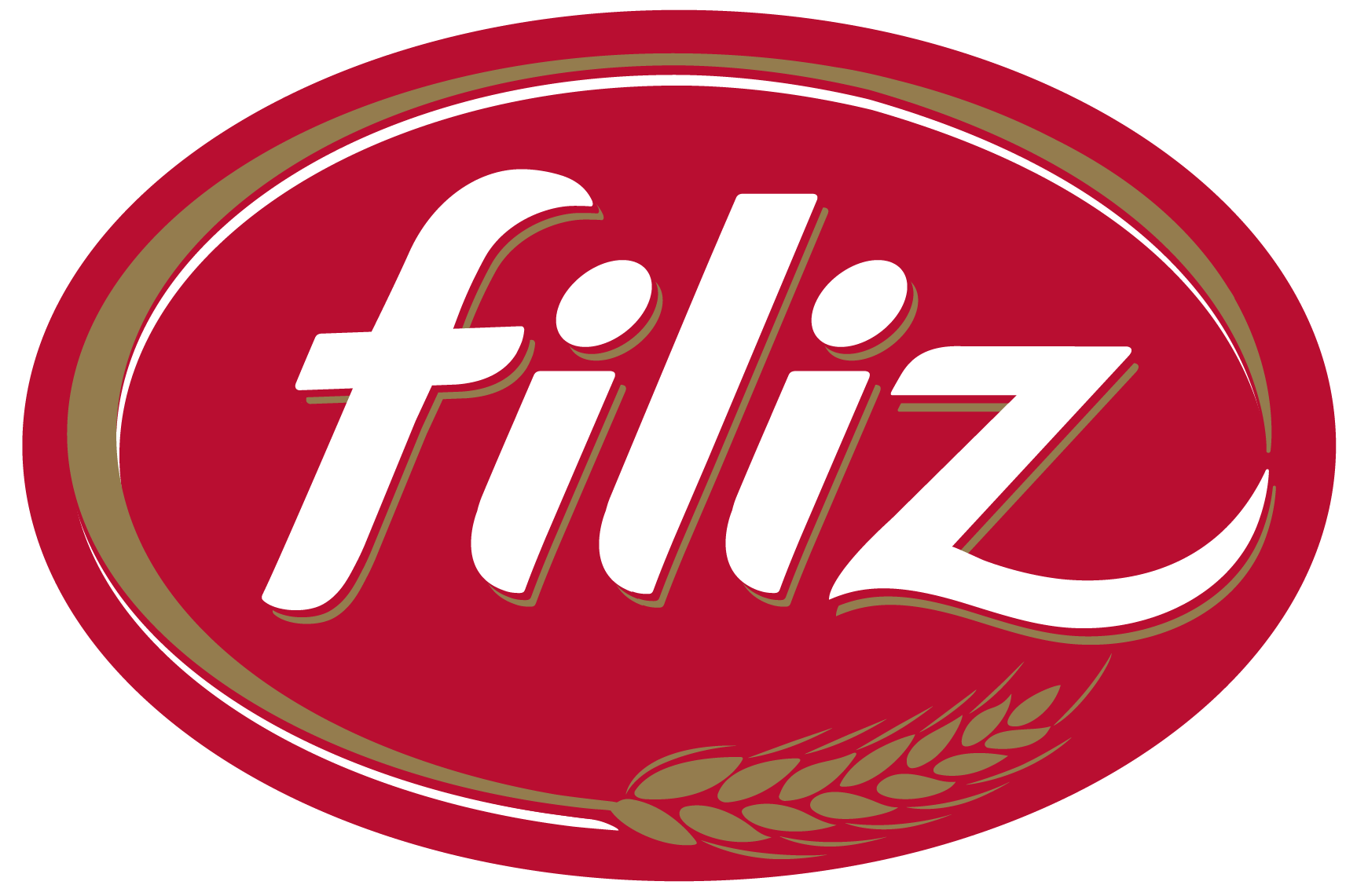 filiz-logo-son