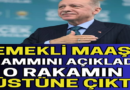 En Düşük Emekli Maaşı Ne Kadar Olacak?